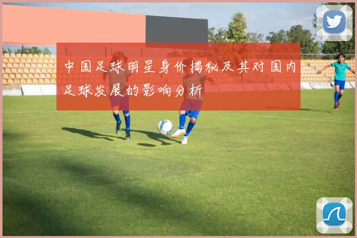 中国足球明星身价揭秘及其对国内足球发展的影响分析