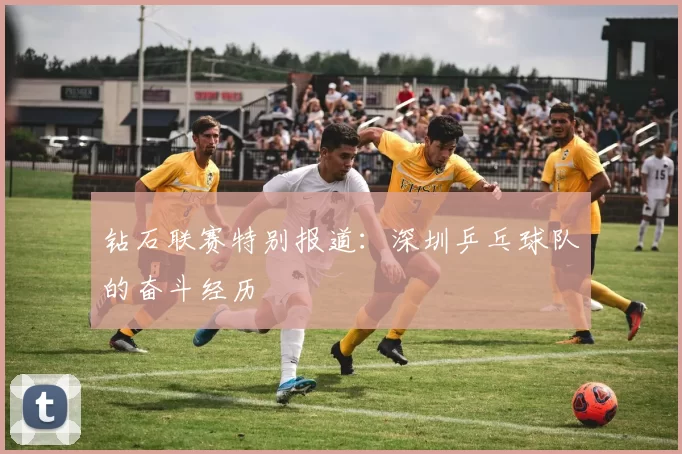 钻石联赛特别报道：深圳乒乓球队的奋斗经历
