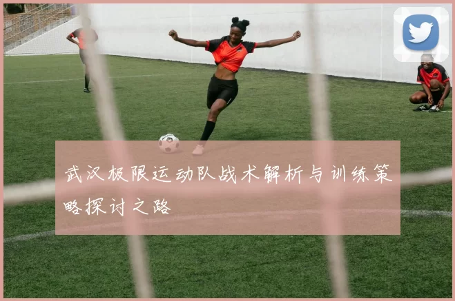 武汉极限运动队战术解析与训练策略探讨之路