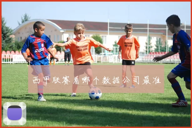 西甲联赛看哪个数据公司最准
