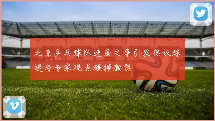北京乒乓球队速度之争引发热议球迷与专家观点碰撞激烈