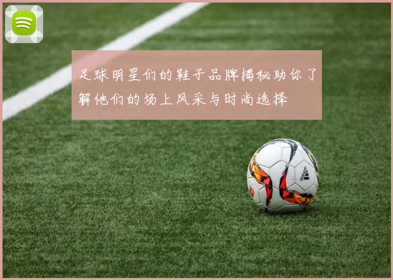足球明星们的鞋子品牌揭秘助你了解他们的场上风采与时尚选择