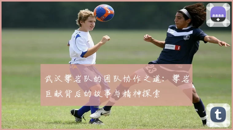武汉攀岩队的团队协作之道：攀岩巨献背后的故事与精神探索