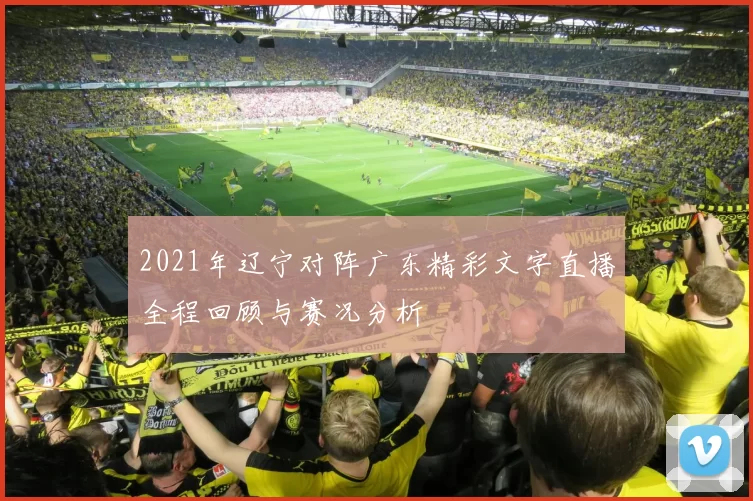 2021年辽宁对阵广东精彩文字直播全程回顾与赛况分析