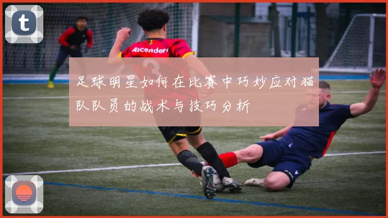 足球明星如何在比赛中巧妙应对猫队队员的战术与技巧分析