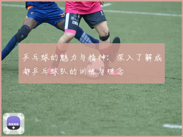 乒乓球的魅力与精神：深入了解成都乒乓球队的训练与理念