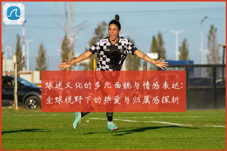 球迷文化的多元面貌与情感表达：全球视野下的热爱与归属感探析