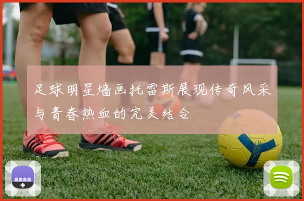 足球明星墙画托雷斯展现传奇风采与青春热血的完美结合