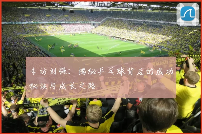 专访刘强：揭秘乒乓球背后的成功秘诀与成长之路