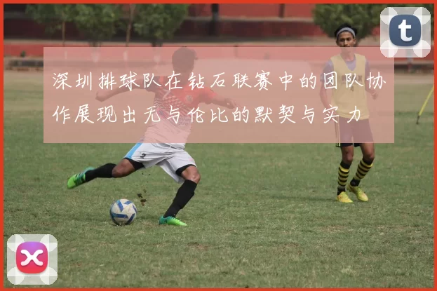 深圳排球队在钻石联赛中的团队协作展现出无与伦比的默契与实力