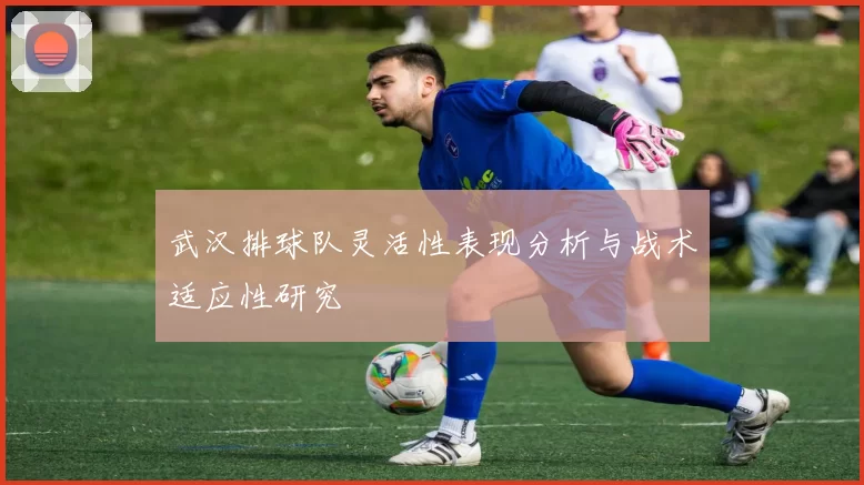 武汉排球队灵活性表现分析与战术适应性研究