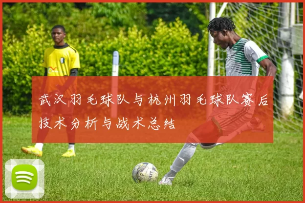 武汉羽毛球队与杭州羽毛球队赛后技术分析与战术总结