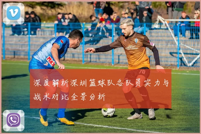 深度解析深圳篮球队各队员实力与战术对比全景分析