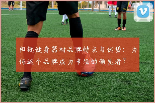 阳锐健身器材品牌特点与优势：为何这个品牌成为市场的领先者？