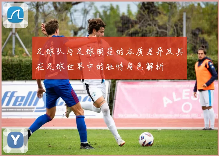 足球队与足球明星的本质差异及其在足球世界中的独特角色解析