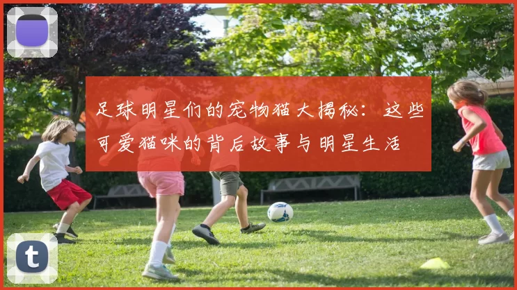 足球明星们的宠物猫大揭秘：这些可爱猫咪的背后故事与明星生活