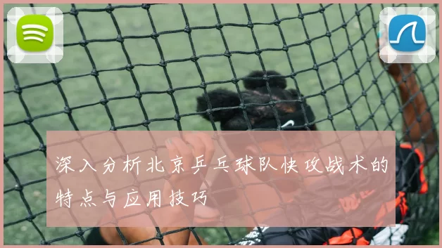 深入分析北京乒乓球队快攻战术的特点与应用技巧