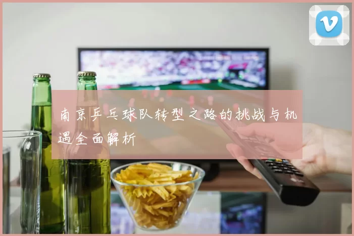 南京乒乓球队转型之路的挑战与机遇全面解析