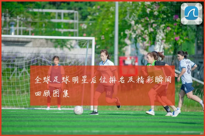 全球足球明星后位排名及精彩瞬间回顾图集