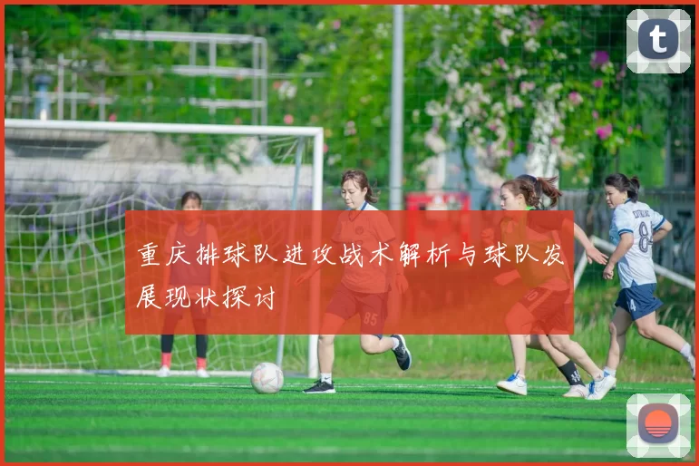 重庆排球队进攻战术解析与球队发展现状探讨