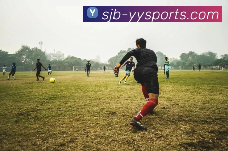 yy易游体育平台生态图